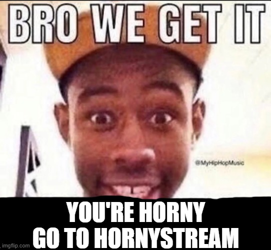 BRO WE GET IT YOU'RE GAY | YOU'RE HORNY
GO TO HORNYSTREAM | image tagged in bro we get it you're gay | made w/ Imgflip meme maker