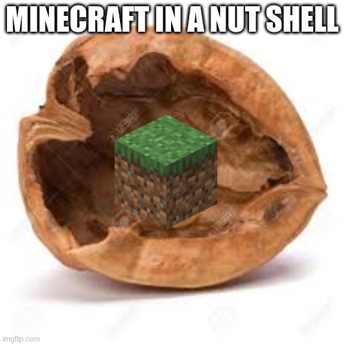 In a nut shell | MINECRAFT IN A NUT SHELL | image tagged in in a nut shell | made w/ Imgflip meme maker