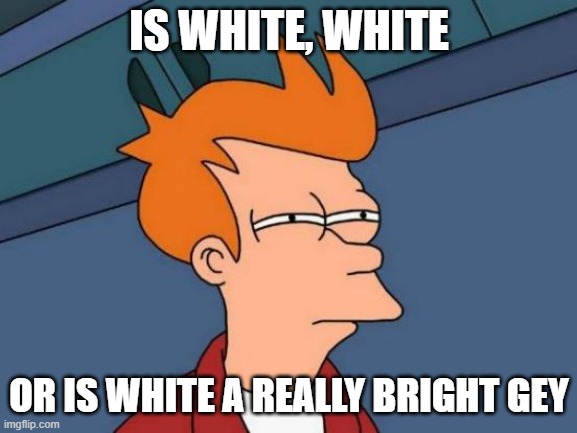 Futurama Fry Meme | IS WHITE, WHITE; OR IS WHITE A REALLY BRIGHT GEY | image tagged in memes,futurama fry | made w/ Imgflip meme maker