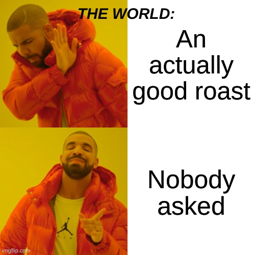 Nobody asked ? | An actually good roast; THE WORLD:; Nobody asked | image tagged in memes,drake hotline bling | made w/ Imgflip meme maker
