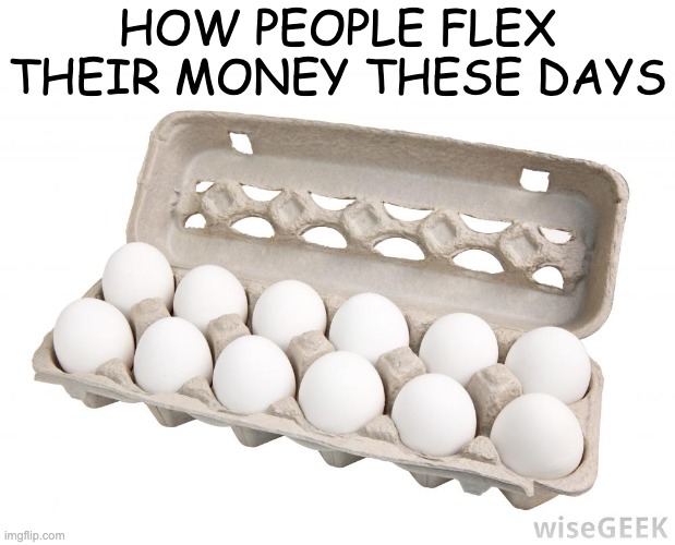 facts | HOW PEOPLE FLEX THEIR MONEY THESE DAYS | image tagged in dozen eggs | made w/ Imgflip meme maker