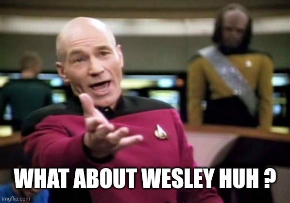 Picard Wtf Meme | WHAT ABOUT WESLEY HUH ? | image tagged in memes,picard wtf | made w/ Imgflip meme maker