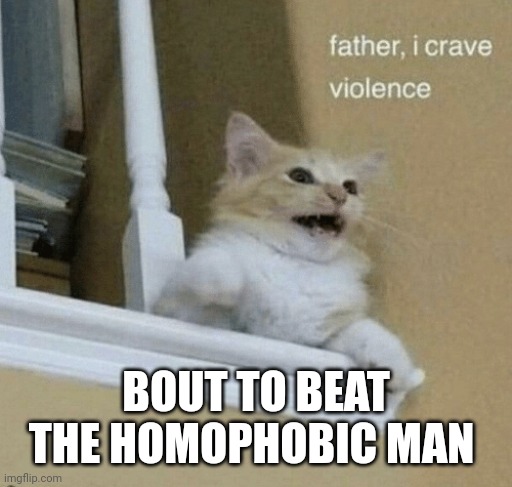 Not sorry | BOUT TO BEAT THE HOMOPHOBIC MAN | image tagged in father i crave violence cat | made w/ Imgflip meme maker