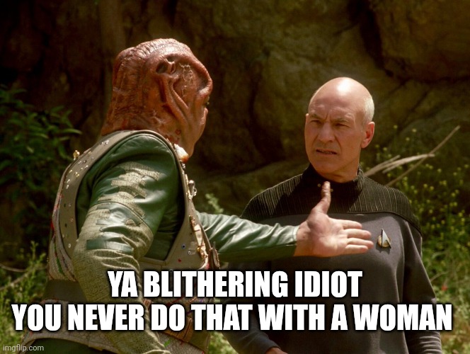 Darmok and Picard | YA BLITHERING IDIOT
YOU NEVER DO THAT WITH A WOMAN | image tagged in darmok and picard | made w/ Imgflip meme maker