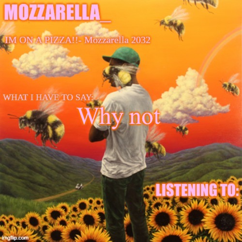 Flower Boy | Why not | image tagged in flower boy | made w/ Imgflip meme maker