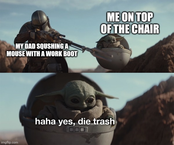 True story actually, quite messy too... | ME ON TOP OF THE CHAIR; MY DAD SQUSHING A MOUSE WITH A WORK BOOT | image tagged in baby yoda die trash,memes,funny,true story | made w/ Imgflip meme maker