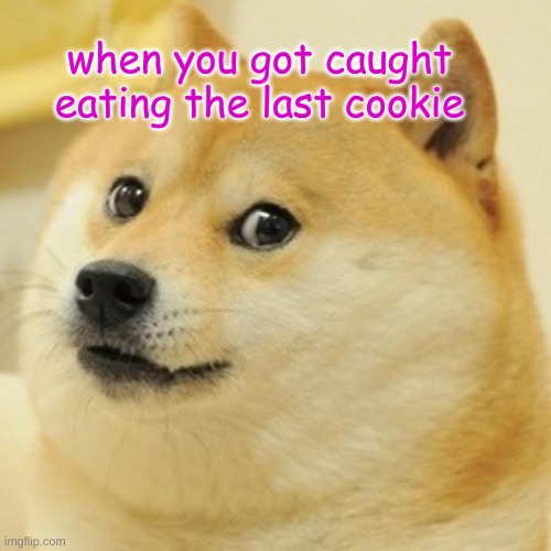 Doge | when you got caught eating the last cookie | image tagged in memes,doge | made w/ Imgflip meme maker