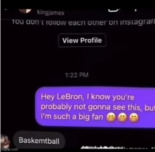 baskemtball | image tagged in msmg,lebron james,memes | made w/ Imgflip meme maker