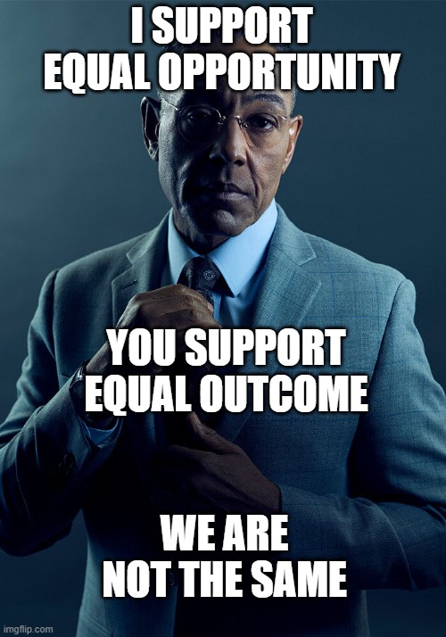 Gus Fring we are not the same | I SUPPORT EQUAL OPPORTUNITY YOU SUPPORT EQUAL OUTCOME WE ARE NOT THE SAME | image tagged in gus fring we are not the same | made w/ Imgflip meme maker