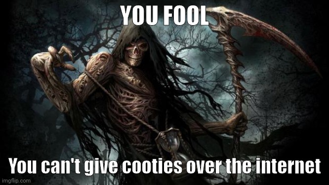 grim reaper | YOU FOOL You can't give cooties over the internet | image tagged in grim reaper | made w/ Imgflip meme maker