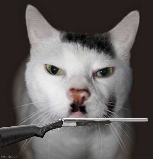 Nazi Cat | image tagged in nazi cat | made w/ Imgflip meme maker