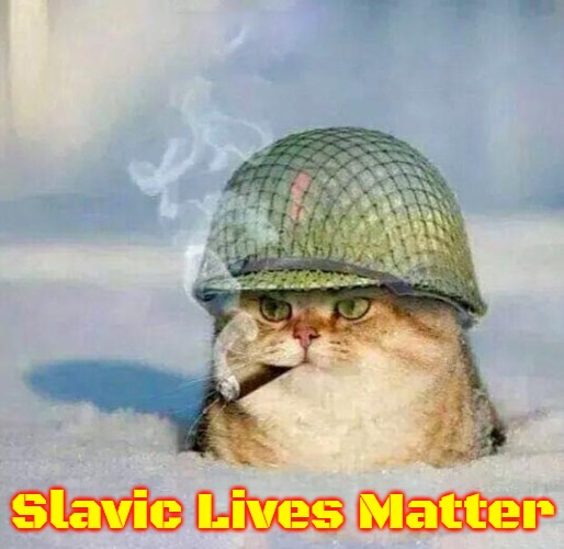 War Cat | Slavic Lives Matter | image tagged in war cat,slavic,russo-ukrainian war,slavic lives matter | made w/ Imgflip meme maker