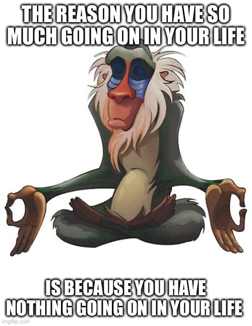 Message | THE REASON YOU HAVE SO MUCH GOING ON IN YOUR LIFE; IS BECAUSE YOU HAVE NOTHING GOING ON IN YOUR LIFE | image tagged in rafiki wisdom,message,drama | made w/ Imgflip meme maker