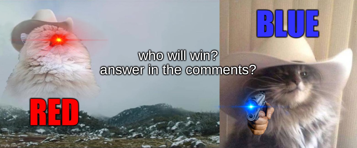 the battle of the century | BLUE; who will win? answer in the comments? RED | image tagged in screaming cowboy cat,meowdy,cat,fighting | made w/ Imgflip meme maker