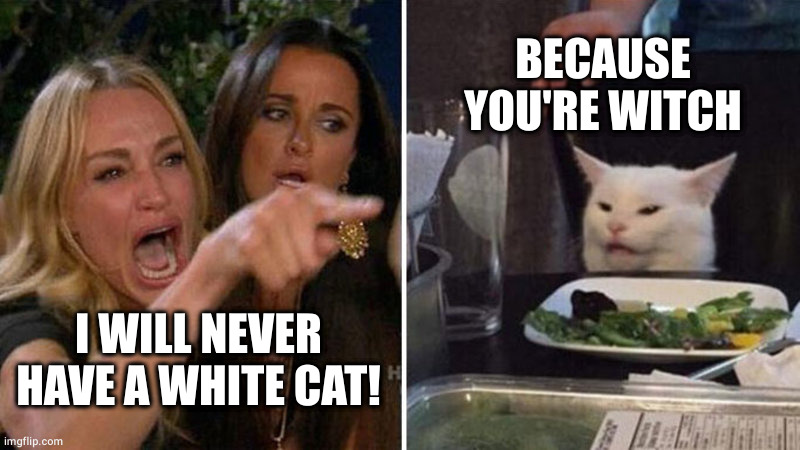 Witches have black cats | BECAUSE YOU'RE WITCH; I WILL NEVER HAVE A WHITE CAT! | image tagged in woman yelling at white cat | made w/ Imgflip meme maker