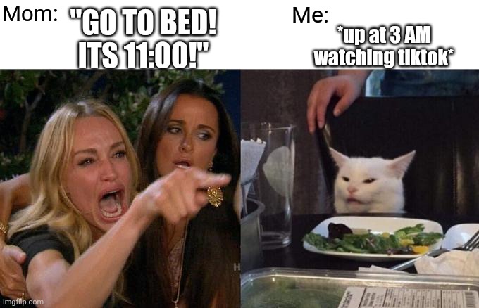 Woman Yelling At Cat Meme | Mom:; Me:; "GO TO BED! ITS 11:00!"; *up at 3 AM watching tiktok* | image tagged in memes,woman yelling at cat | made w/ Imgflip meme maker