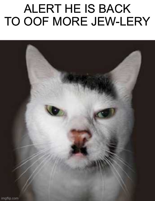Nazi Cat | ALERT HE IS BACK TO OOF MORE JEW-LERY | image tagged in nazi cat | made w/ Imgflip meme maker
