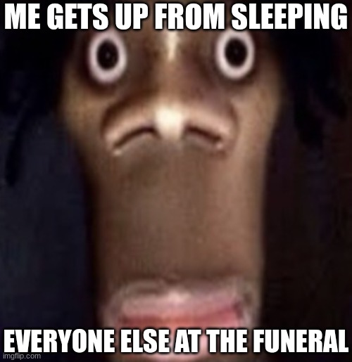 Im so sleepy | ME GETS UP FROM SLEEPING; EVERYONE ELSE AT THE FUNERAL | image tagged in quandale dingle,haha,laughing,funny,dead,quantum physics | made w/ Imgflip meme maker