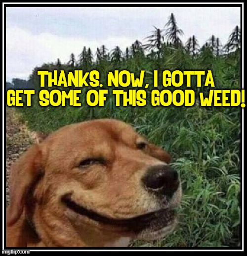 THANKS. NOW, I GOTTA GET SOME OF THIS GOOD WEED! | made w/ Imgflip meme maker