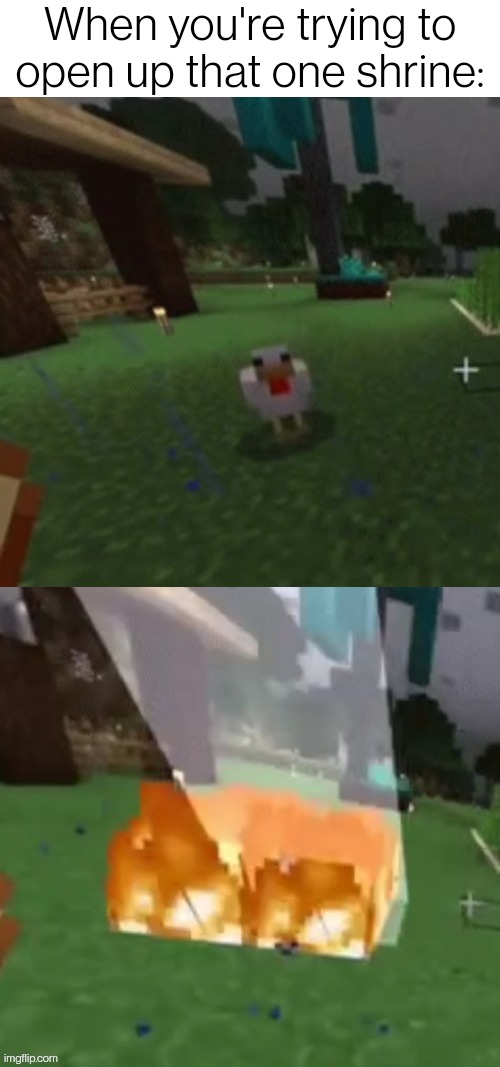 You know which one I'm talking about... | When you're trying to open up that one shrine: | image tagged in minecraft chicken getting struck by lightning | made w/ Imgflip meme maker