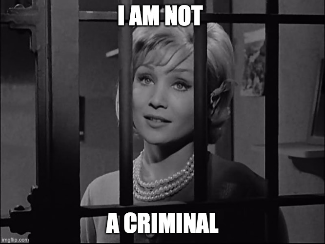 I am not a criminal | I AM NOT; A CRIMINAL | image tagged in mayberrian criminal little miss bambi gets her way | made w/ Imgflip meme maker