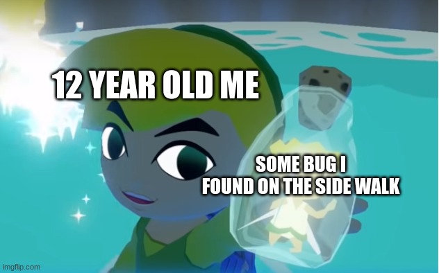 12 year old me be like | 12 YEAR OLD ME; SOME BUG I FOUND ON THE SIDE WALK | image tagged in legend of zelda fairy in a bottle | made w/ Imgflip meme maker