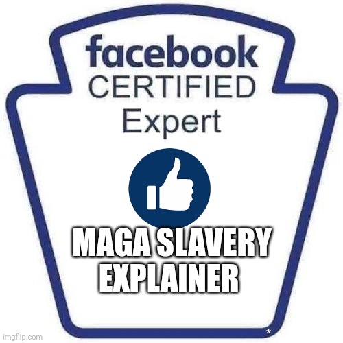 Facebook certified expert badge 1 | MAGA SLAVERY
EXPLAINER | image tagged in facebook certified expert badge 1 | made w/ Imgflip meme maker