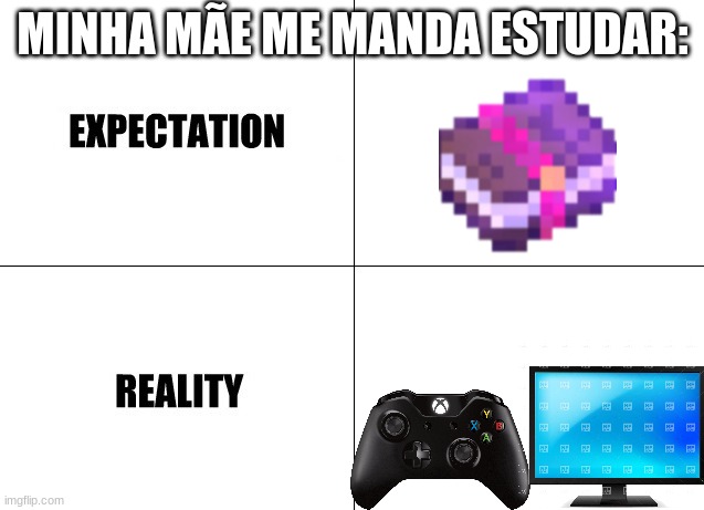 Expectation vs Reality | MINHA MÃE ME MANDA ESTUDAR: | image tagged in expectation vs reality | made w/ Imgflip meme maker