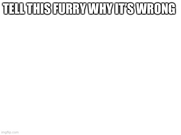 Blank White Template | TELL THIS FURRY WHY IT’S WRONG; HTTPS://IMGFLIP.COM/I/7FA4EX?NERP=1679593212#COM24592685 | image tagged in blank white template | made w/ Imgflip meme maker