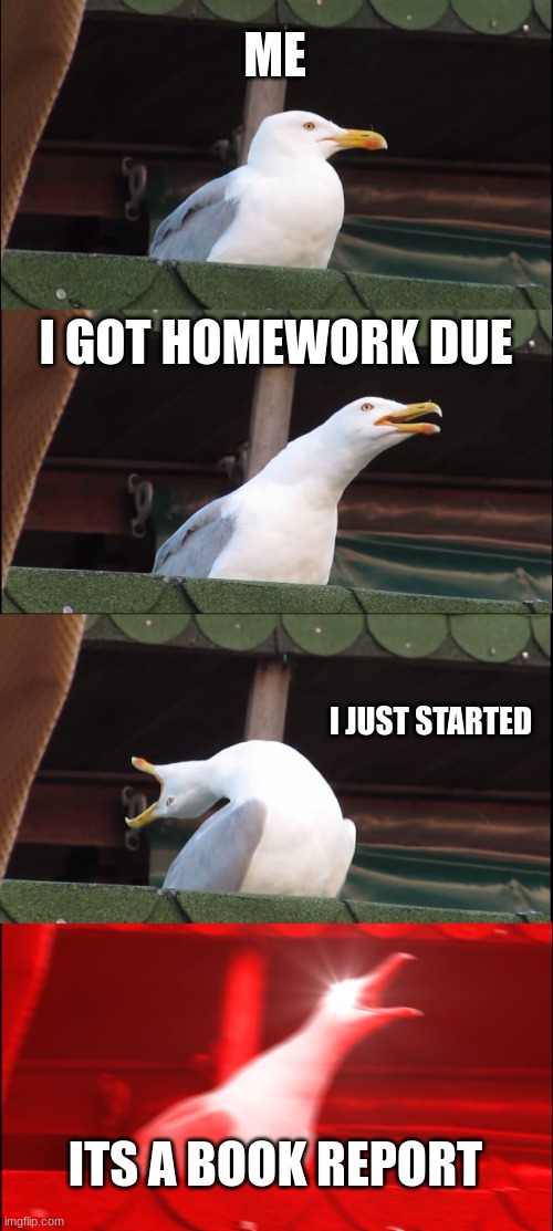 Inhaling Seagull | ME; I GOT HOMEWORK DUE; I JUST STARTED; ITS A BOOK REPORT | image tagged in memes,inhaling seagull | made w/ Imgflip meme maker