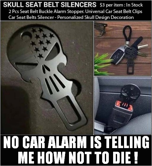What Kind Of Person Would Buy These ? | NO CAR ALARM IS TELLING
 ME HOW NOT TO DIE ! | image tagged in seat belt,safety belt,alarm,dark humour | made w/ Imgflip meme maker