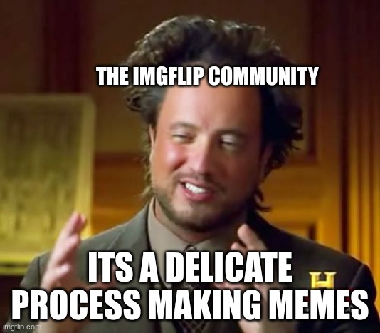 img | THE IMGFLIP COMMUNITY; ITS A DELICATE PROCESS MAKING MEMES | image tagged in memes,ancient aliens | made w/ Imgflip meme maker