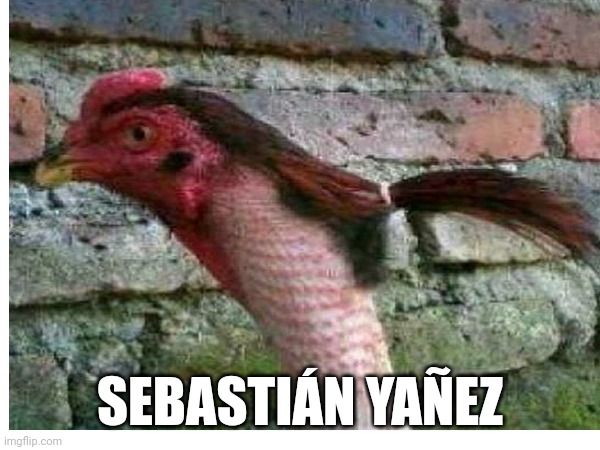 SEBASTIÁN YAÑEZ | image tagged in shitpost | made w/ Imgflip meme maker