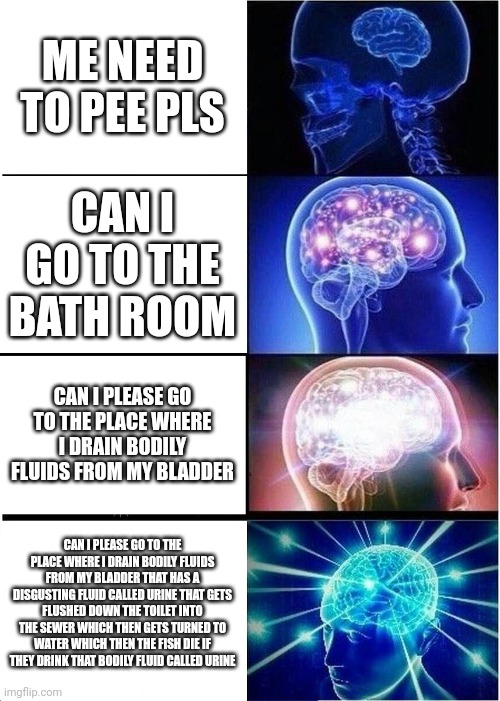 Expanding Brain | ME NEED TO PEE PLS; CAN I GO TO THE BATH ROOM; CAN I PLEASE GO TO THE PLACE WHERE I DRAIN BODILY FLUIDS FROM MY BLADDER; CAN I PLEASE GO TO THE PLACE WHERE I DRAIN BODILY FLUIDS FROM MY BLADDER THAT HAS A DISGUSTING FLUID CALLED URINE THAT GETS FLUSHED DOWN THE TOILET INTO THE SEWER WHICH THEN GETS TURNED TO WATER WHICH THEN THE FISH DIE IF THEY DRINK THAT BODILY FLUID CALLED URINE | image tagged in memes,expanding brain | made w/ Imgflip meme maker