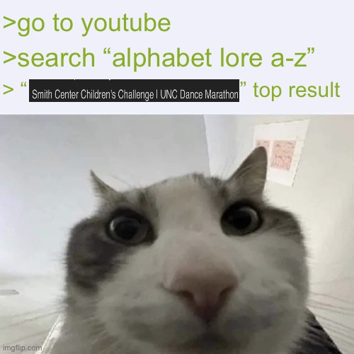 Wow, kinda weird. | >go to youtube; >search “alphabet lore a-z”; > “                                    ” top result | image tagged in green text cat,doge,left exit 12 off ramp,memes,funny,pie charts | made w/ Imgflip meme maker