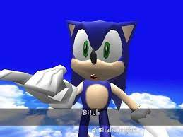 sonic bitch Blank Meme Template