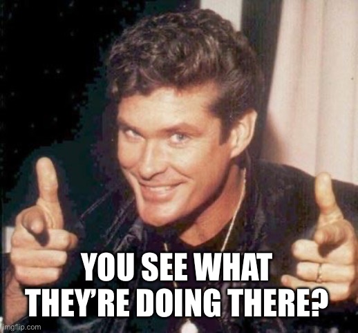 The Hoff thinks your awesome | YOU SEE WHAT THEY’RE DOING THERE? | image tagged in the hoff thinks your awesome | made w/ Imgflip meme maker