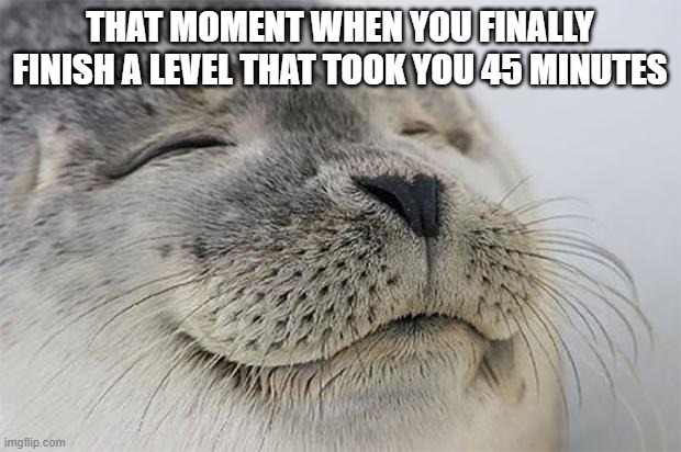 A good feeling | THAT MOMENT WHEN YOU FINALLY FINISH A LEVEL THAT TOOK YOU 45 MINUTES | image tagged in memes,satisfied seal | made w/ Imgflip meme maker