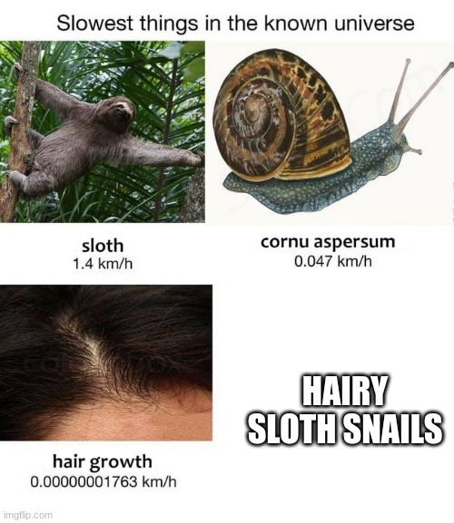 a combination you werent ready for | HAIRY SLOTH SNAILS | image tagged in slowest things | made w/ Imgflip meme maker