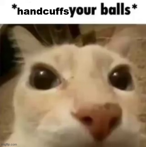 why | handcuffs | image tagged in x your balls | made w/ Imgflip meme maker