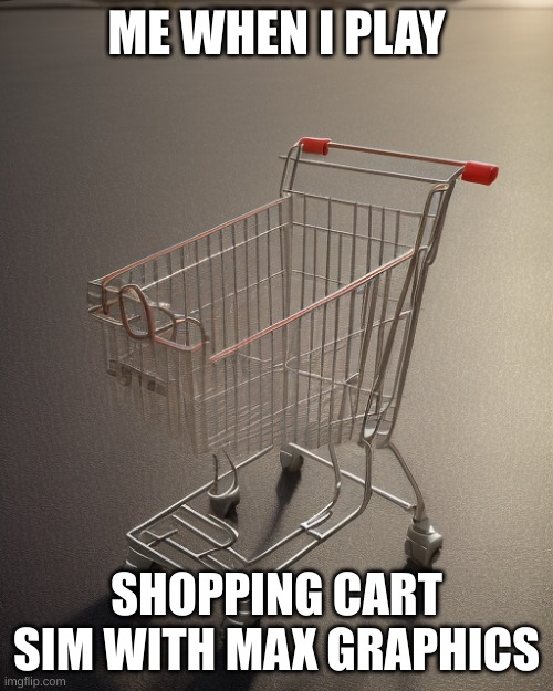 Shoping cart | ME WHEN I PLAY; SHOPPING CART SIM WITH MAX GRAPHICS | image tagged in shoping cart | made w/ Imgflip meme maker