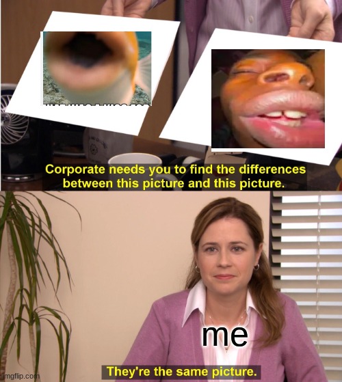 They're The Same Picture | me | image tagged in memes,they're the same picture | made w/ Imgflip meme maker