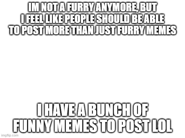 IM NOT A FURRY ANYMORE, BUT I FEEL LIKE PEOPLE SHOULD BE ABLE TO POST MORE THAN JUST FURRY MEMES; I HAVE A BUNCH OF FUNNY MEMES TO POST LOL | made w/ Imgflip meme maker