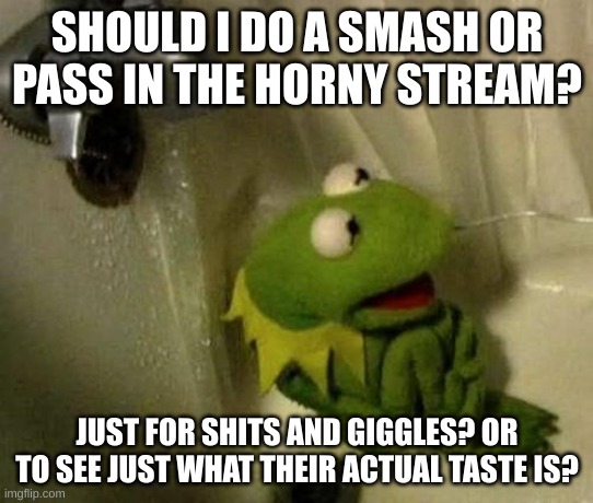 Kermit on Shower | SHOULD I DO A SMASH OR PASS IN THE HORNY STREAM? JUST FOR SHITS AND GIGGLES? OR TO SEE JUST WHAT THEIR ACTUAL TASTE IS? | image tagged in kermit on shower | made w/ Imgflip meme maker