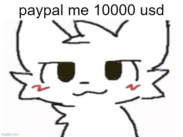 no | paypal me 10000 usd | made w/ Imgflip meme maker