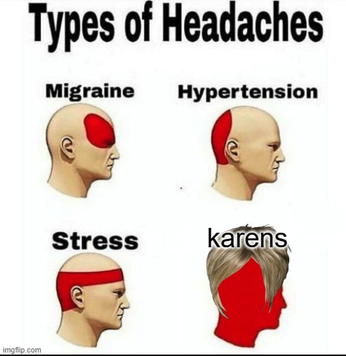 Types of Headaches meme | karens | image tagged in types of headaches meme | made w/ Imgflip meme maker