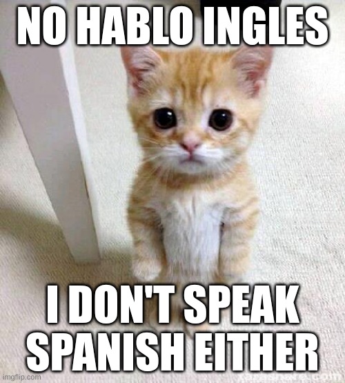 Cute Cat | NO HABLO INGLES; I DON'T SPEAK SPANISH EITHER | image tagged in memes,cute cat | made w/ Imgflip meme maker