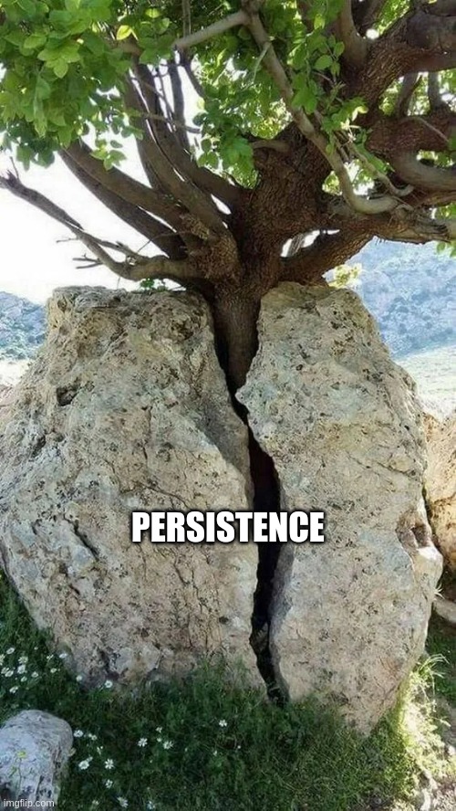 persistence | PERSISTENCE | image tagged in nature | made w/ Imgflip meme maker