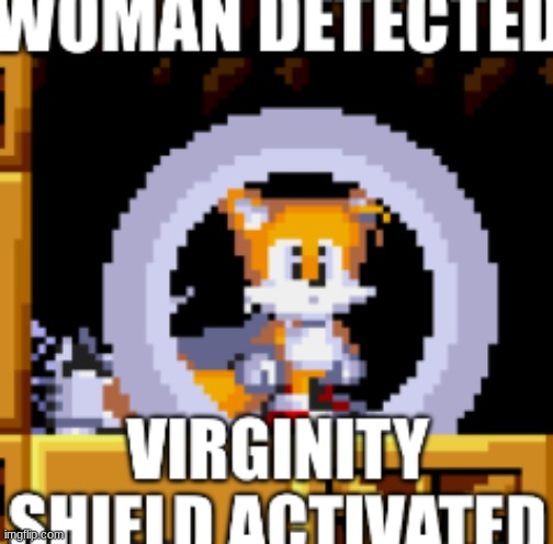 Tails Virginity Shield | image tagged in tails virginity shield | made w/ Imgflip meme maker