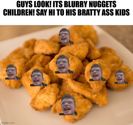 blurry nugget nft's are fun | GUYS LOOK! ITS BLURRY NUGGETS CHILDREN! SAY HI TO HIS BRATTY ASS KIDS | image tagged in chicken nuggets | made w/ Imgflip meme maker